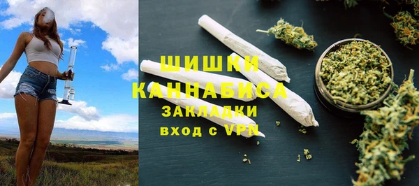 PSILOCYBIN Заводоуковск