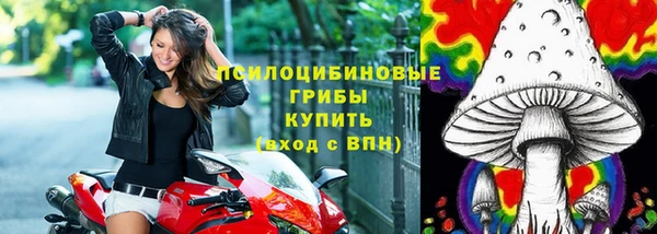 PSILOCYBIN Заводоуковск