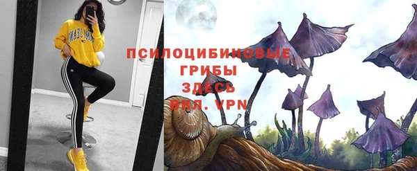 PSILOCYBIN Заводоуковск