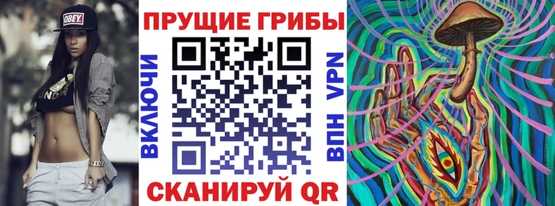 Псилоцибиновые грибы ЛСД  Купить  Кодинск 